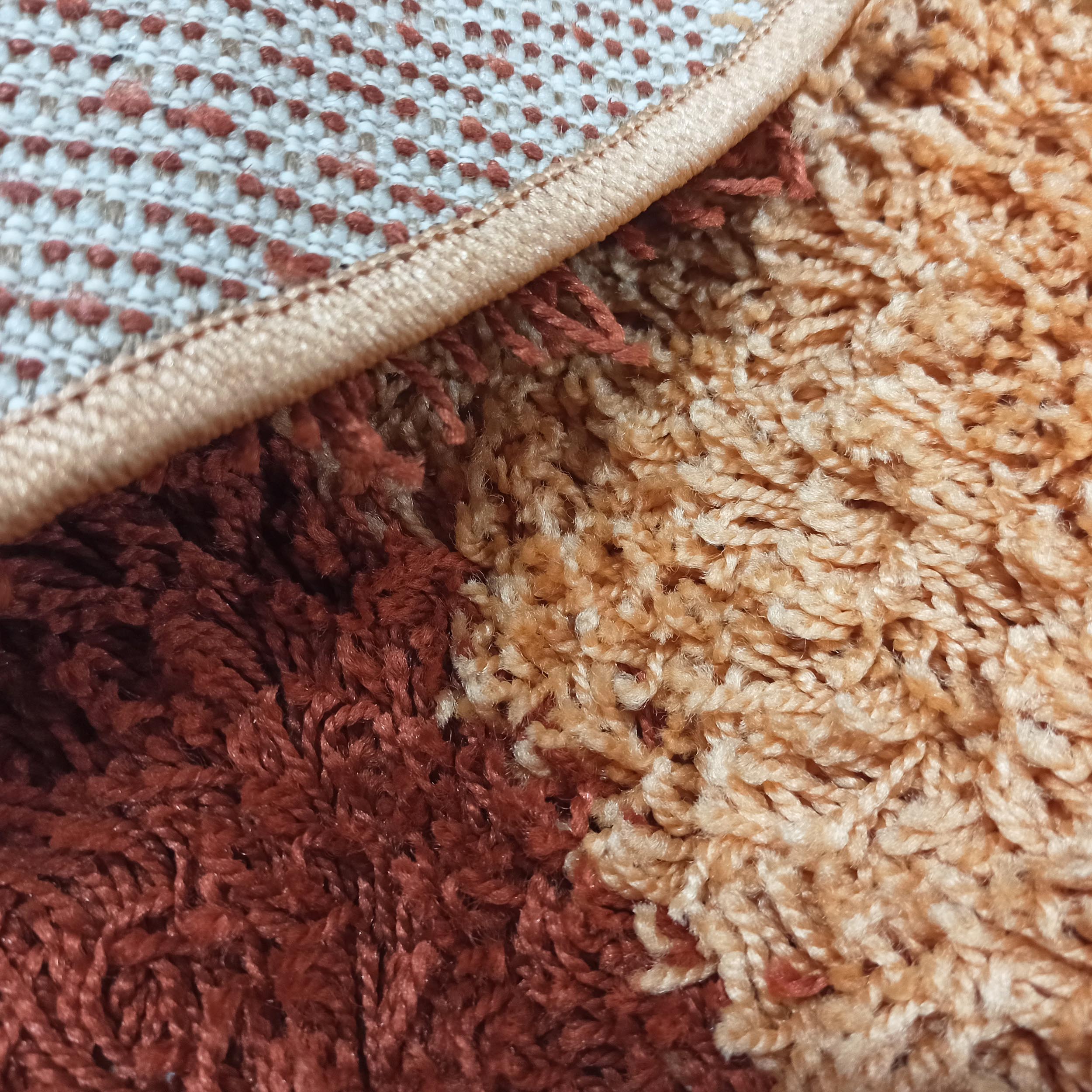 Dywan Nowoczesny Shaggy Long SS740-CAR owalny - wielokolorowy